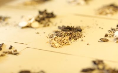 Perfiles clínicos y subtipos del espectro: guía esencial para familias