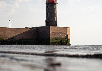 Evolución y cambios a lo largo de la vida en el autismo: guía esencial para familias