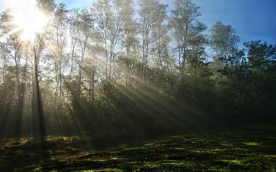 Signos tempranos y detección inicial: guía vital en autismo