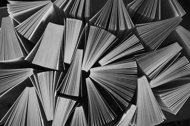 Guía esencial sobre el uso correcto de términos diagnósticos (TEA y otros)